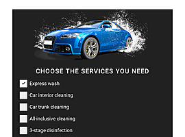 Car wash & polish